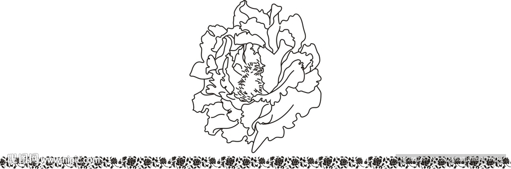 花冠中国花纹横纹