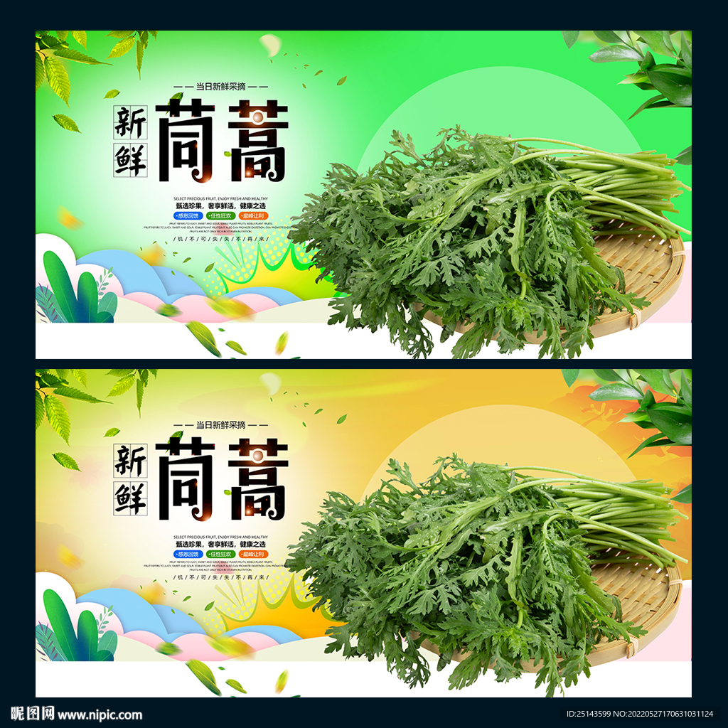 茼蒿