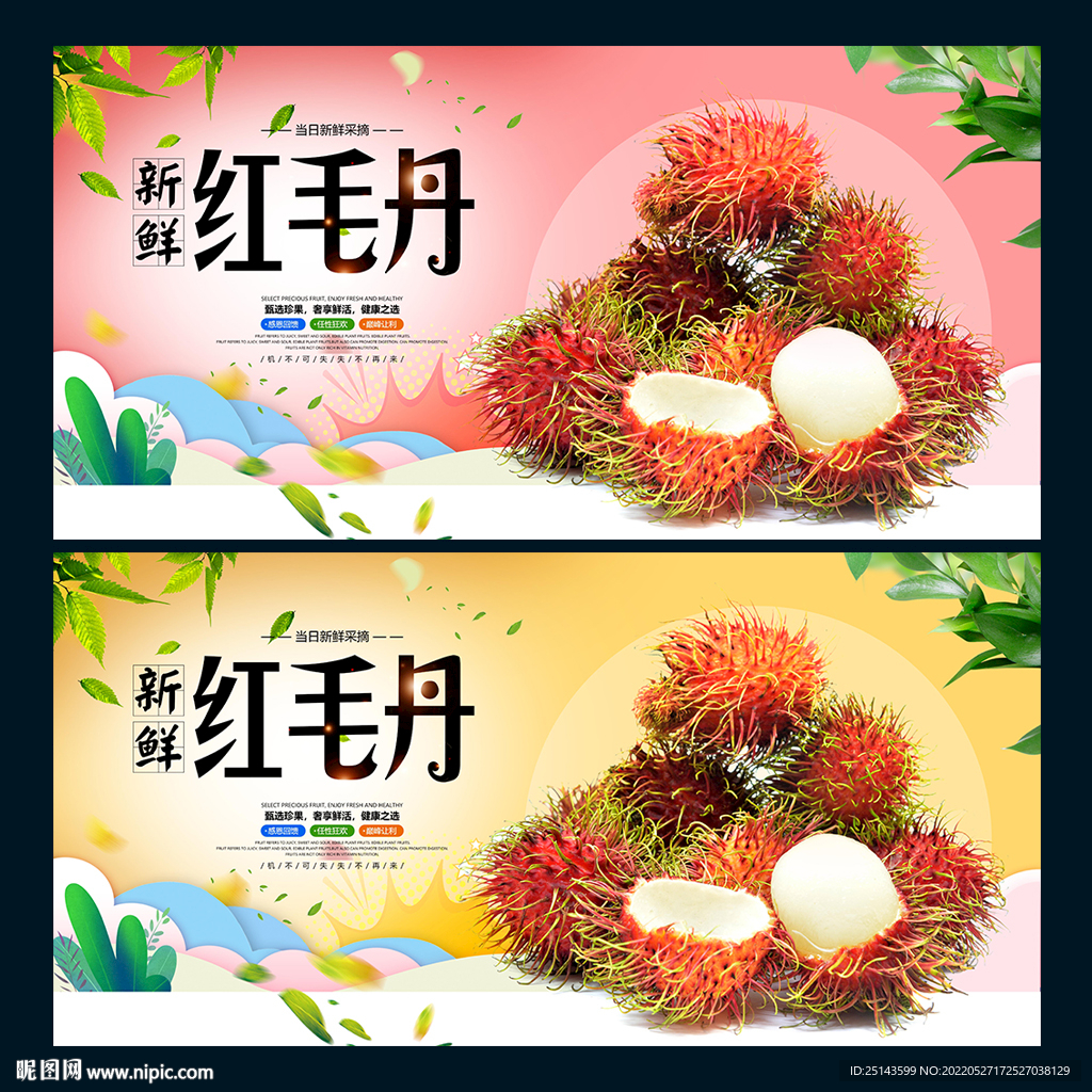 红毛丹