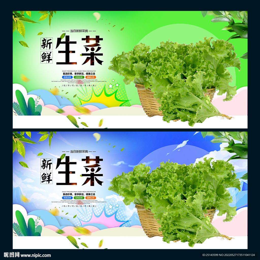 生菜