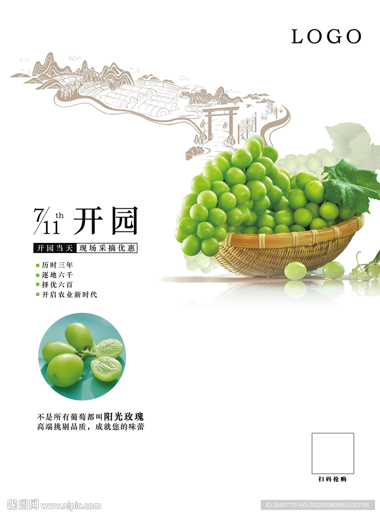 葡萄