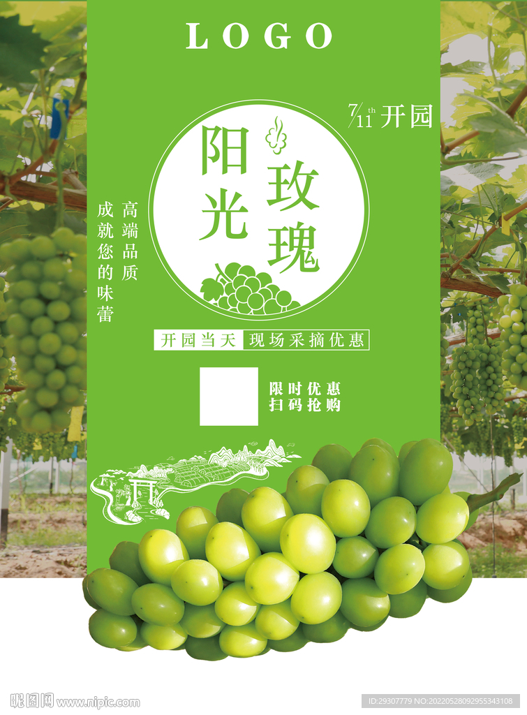 葡萄