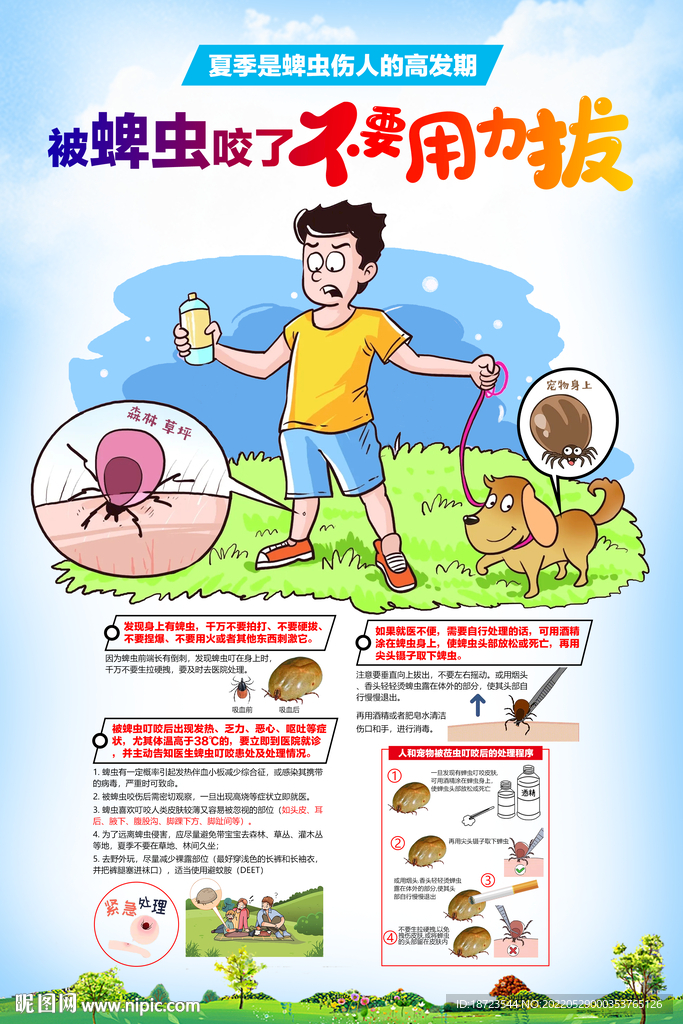 蜱虫