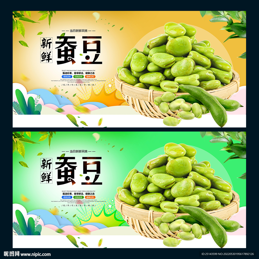 蚕豆