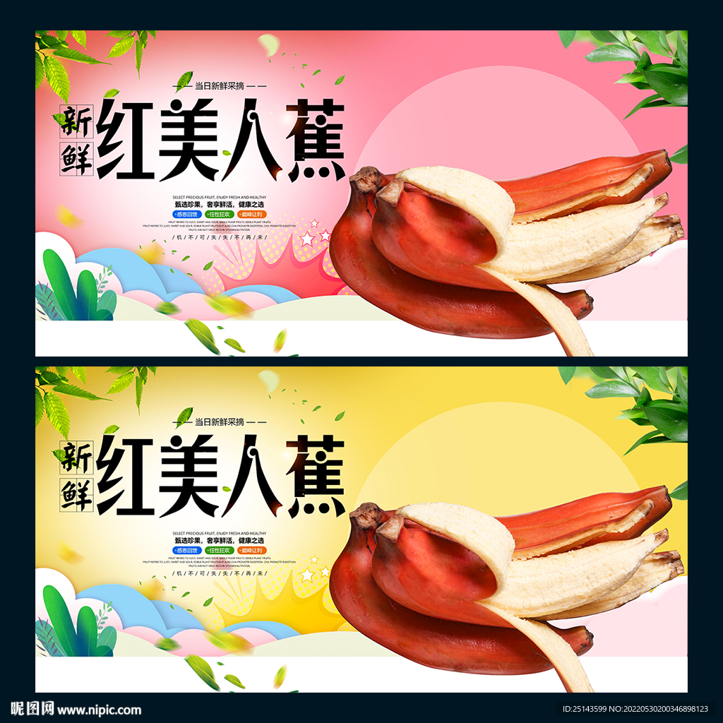 红美人蕉