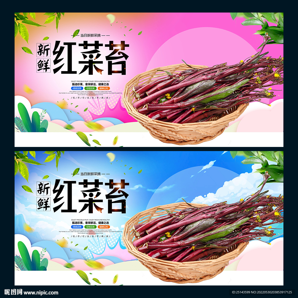 红菜苔