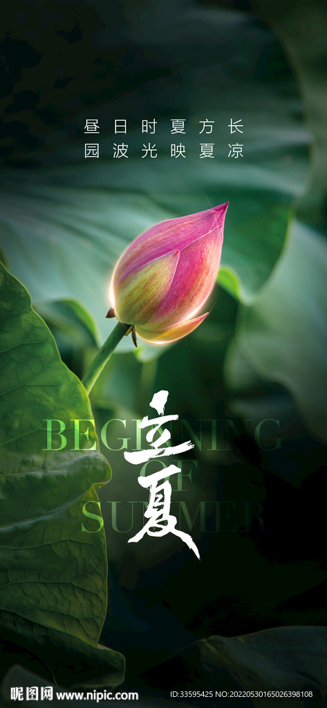 立夏图片