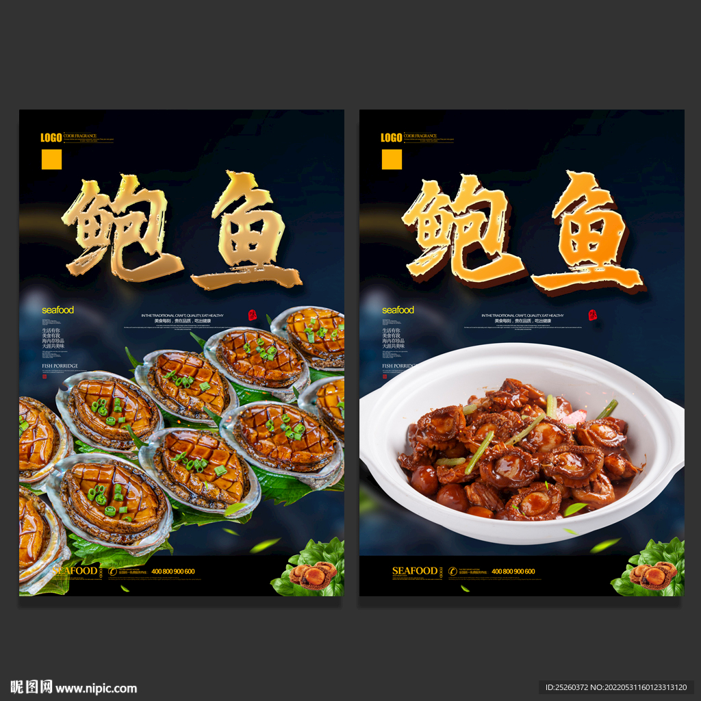鲍鱼