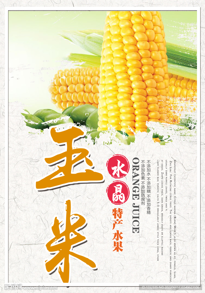 玉米