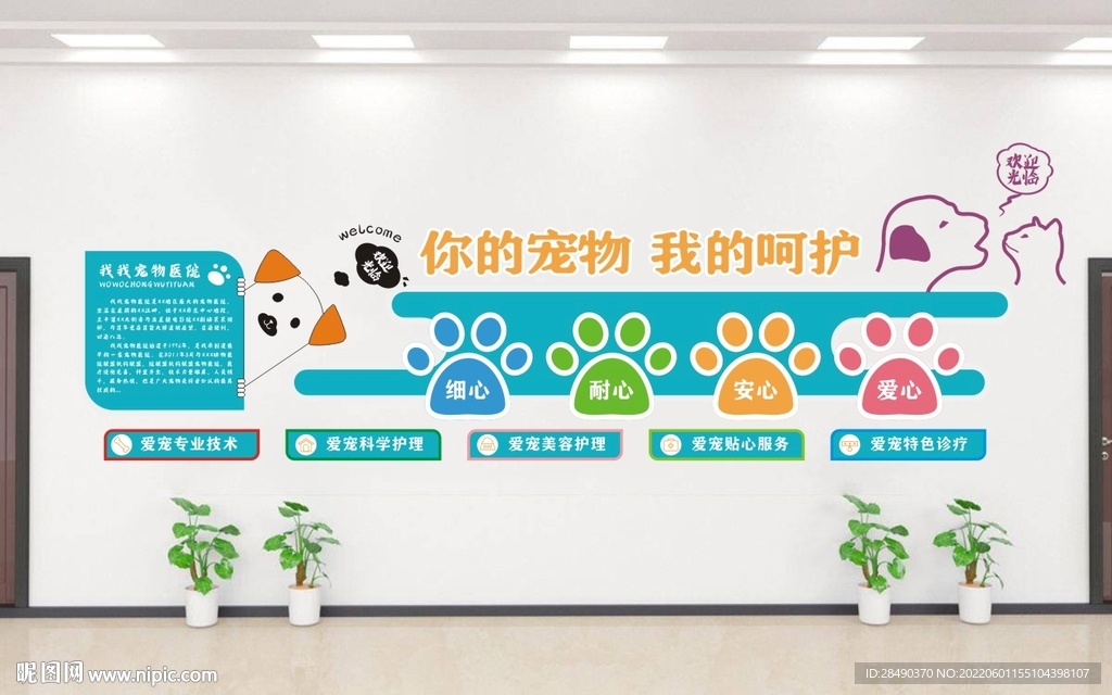 宠物医院文化墙