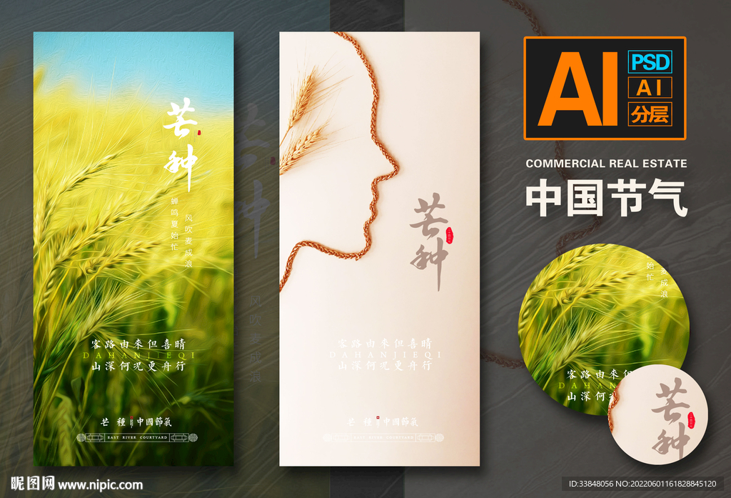 芒种