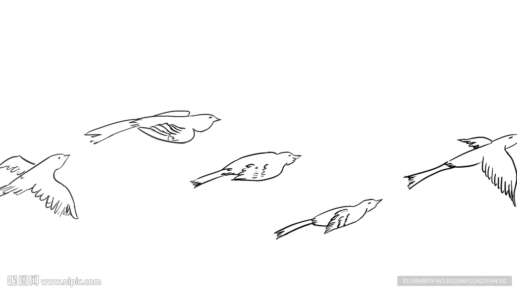 鸟二维动画