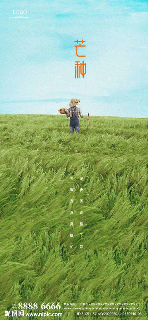 芒种海报