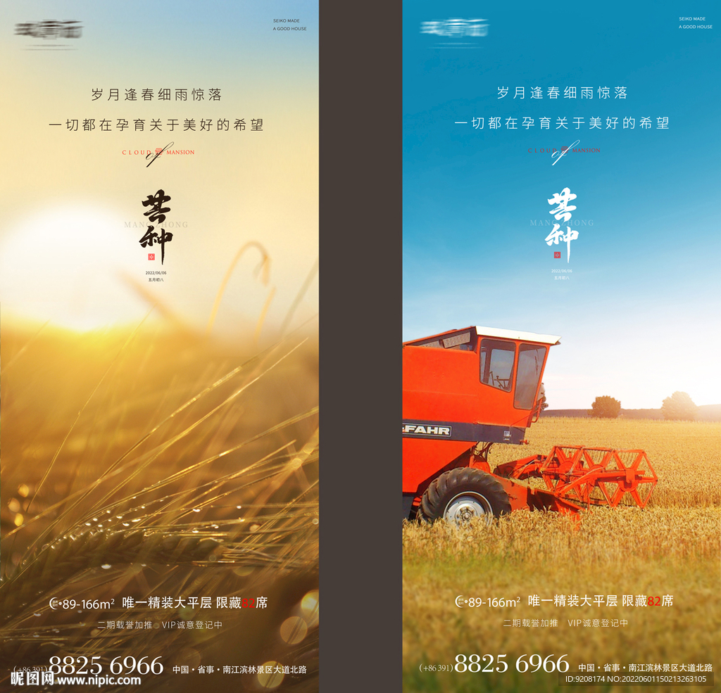 芒种