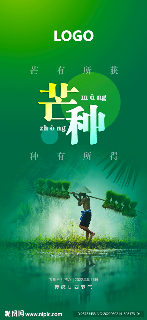 芒种节气海报