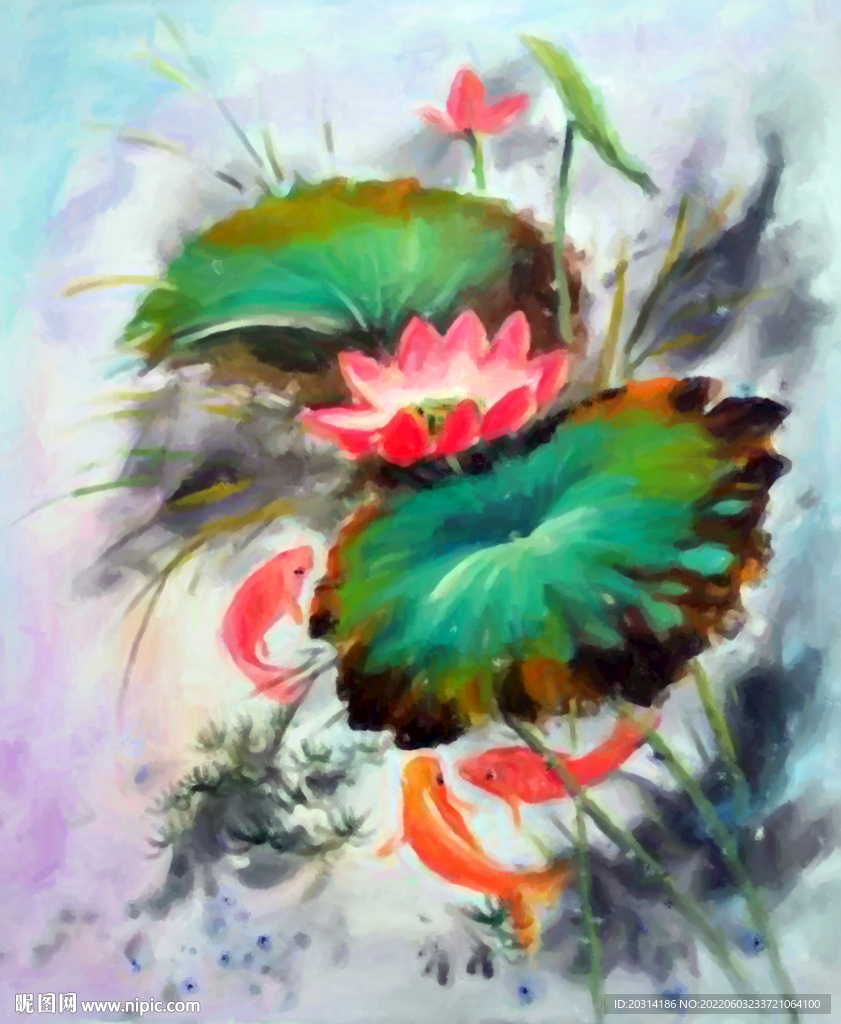荷花与鲤鱼