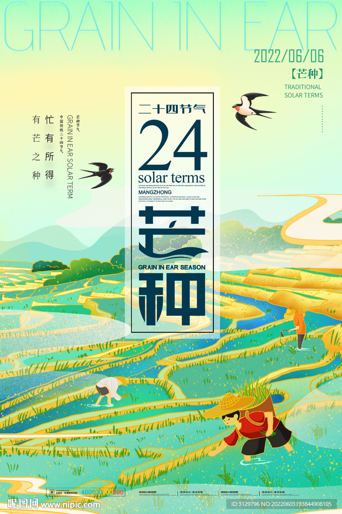芒种节气海报