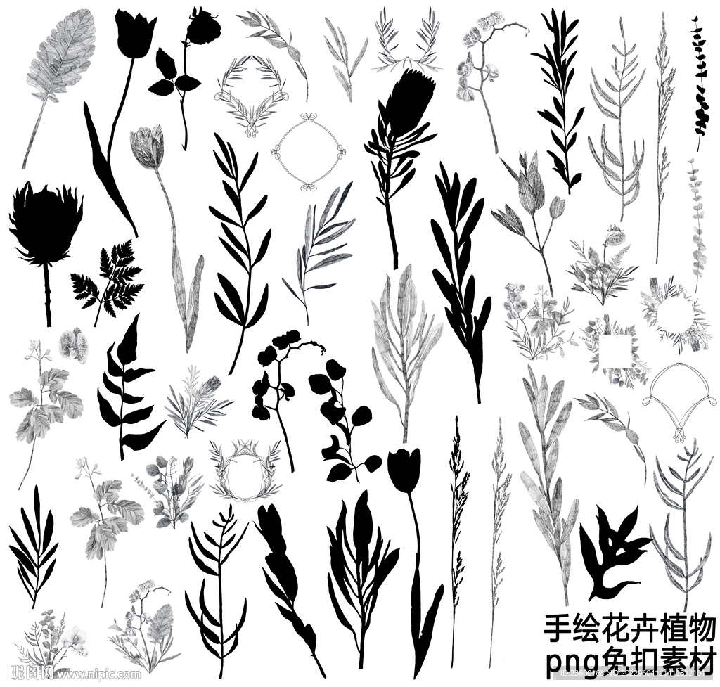 手绘花卉植物