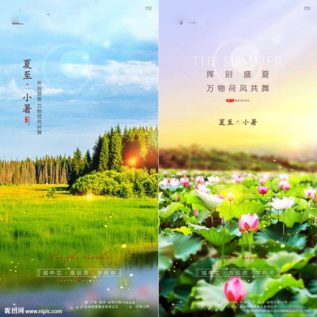 夏至小暑海报