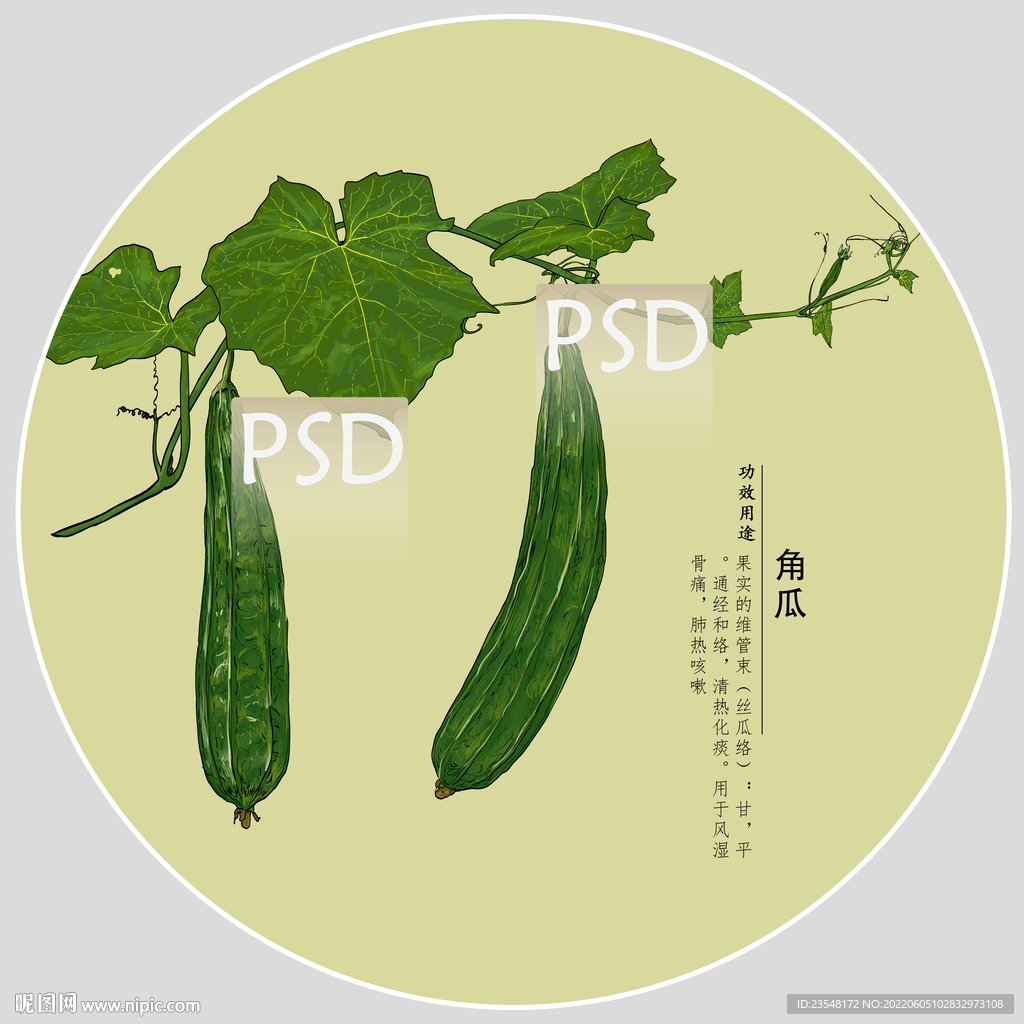 角瓜包装手绘装饰画