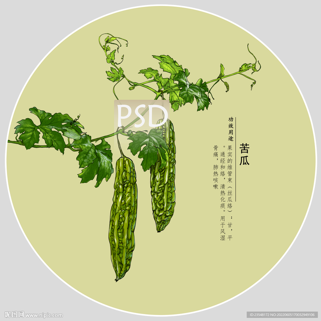 苦瓜包装手绘装饰画