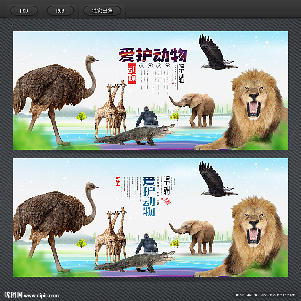 爱护动物