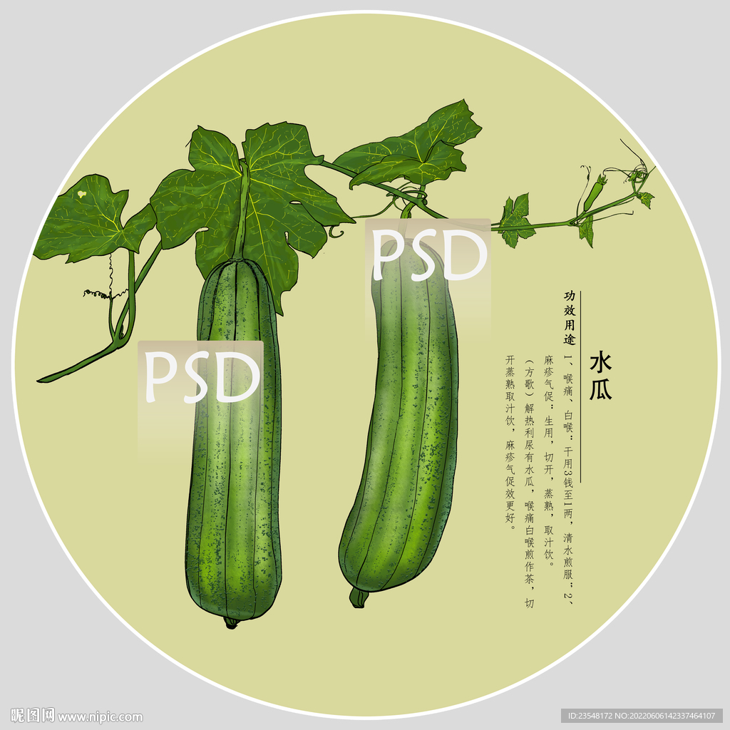 水瓜包装手绘装饰画