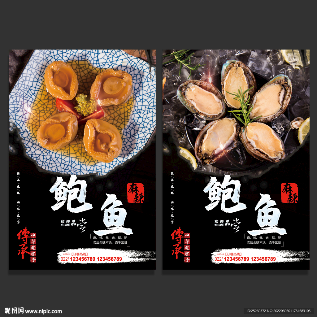 鲍鱼
