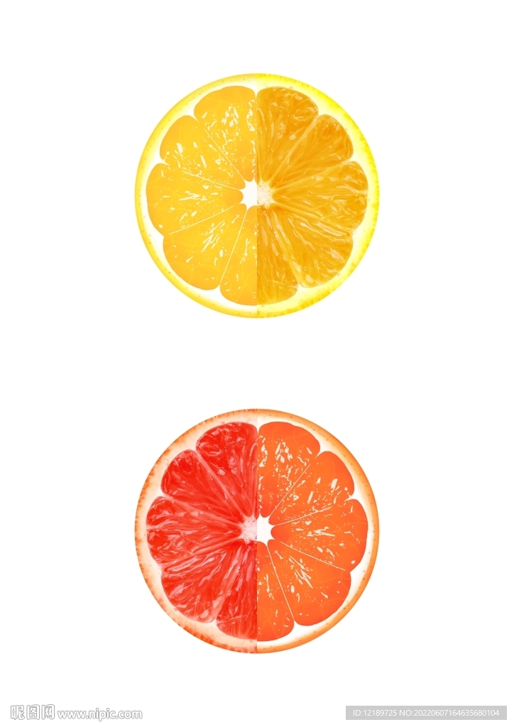 最爱橙子了 手绘插画