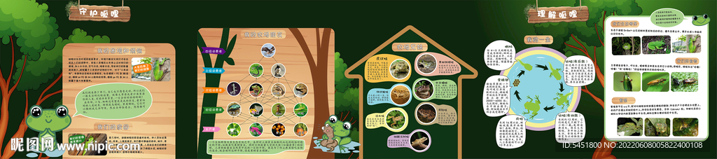 树蛙科普馆墙面