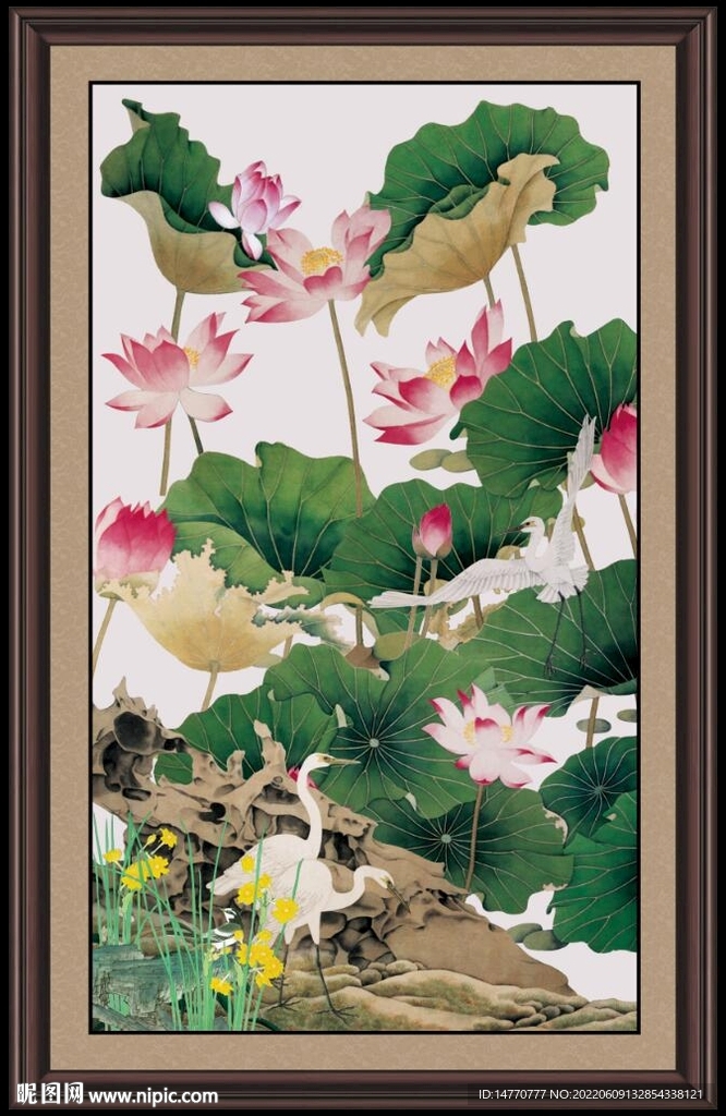 荷花