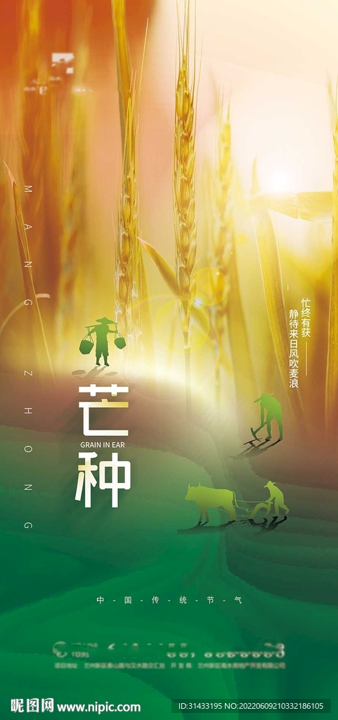 芒种节气海报