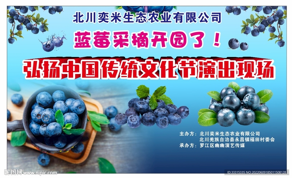 蓝莓采摘开园了