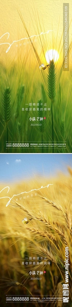 小满芒种节气