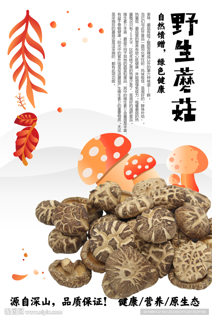 野生蘑菇海报