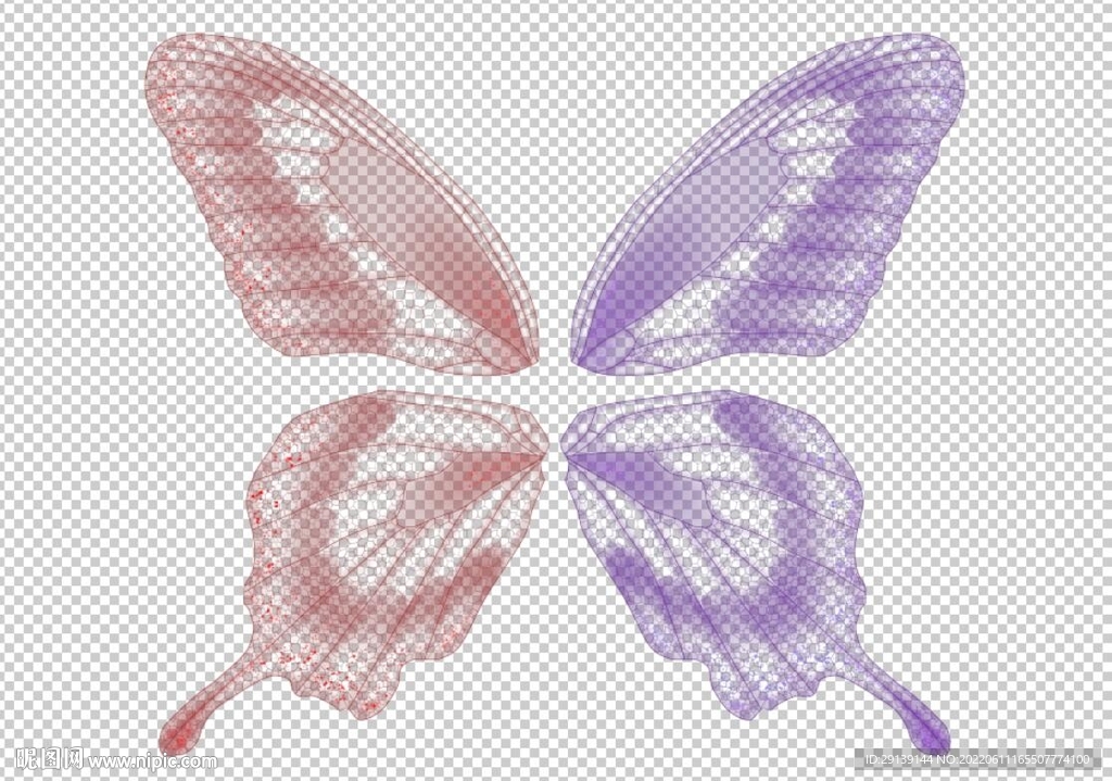 蝴蝶翅膀蜻蜓翅膀2色