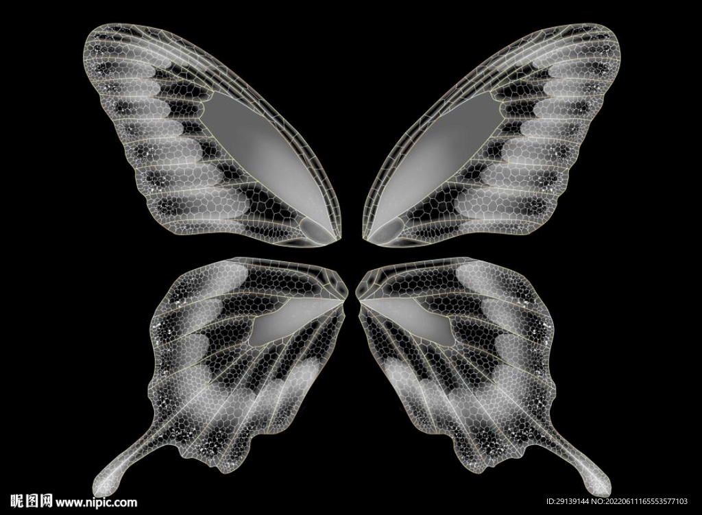 蝴蝶翅膀蜻蜓翅膀透明色