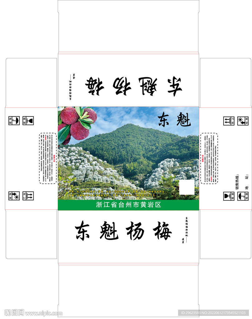 杨梅盒