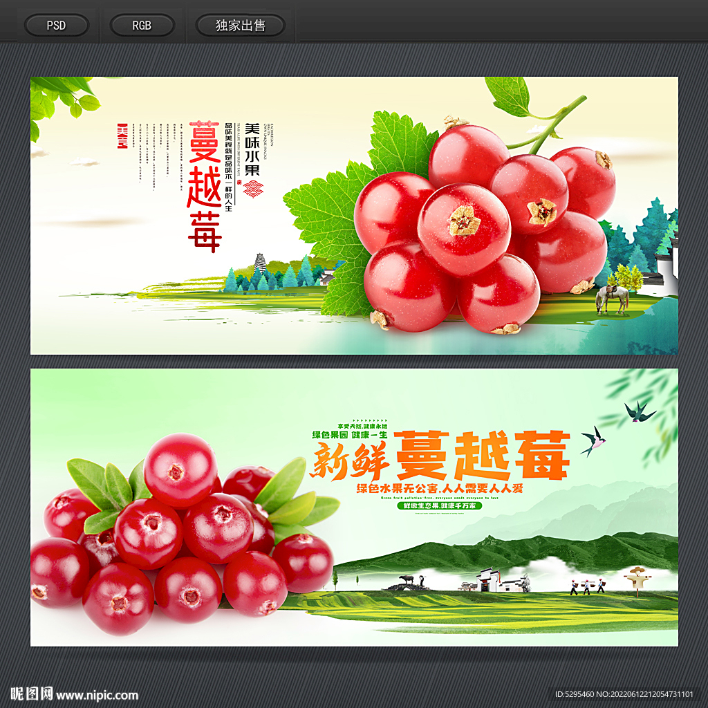 蔓越莓