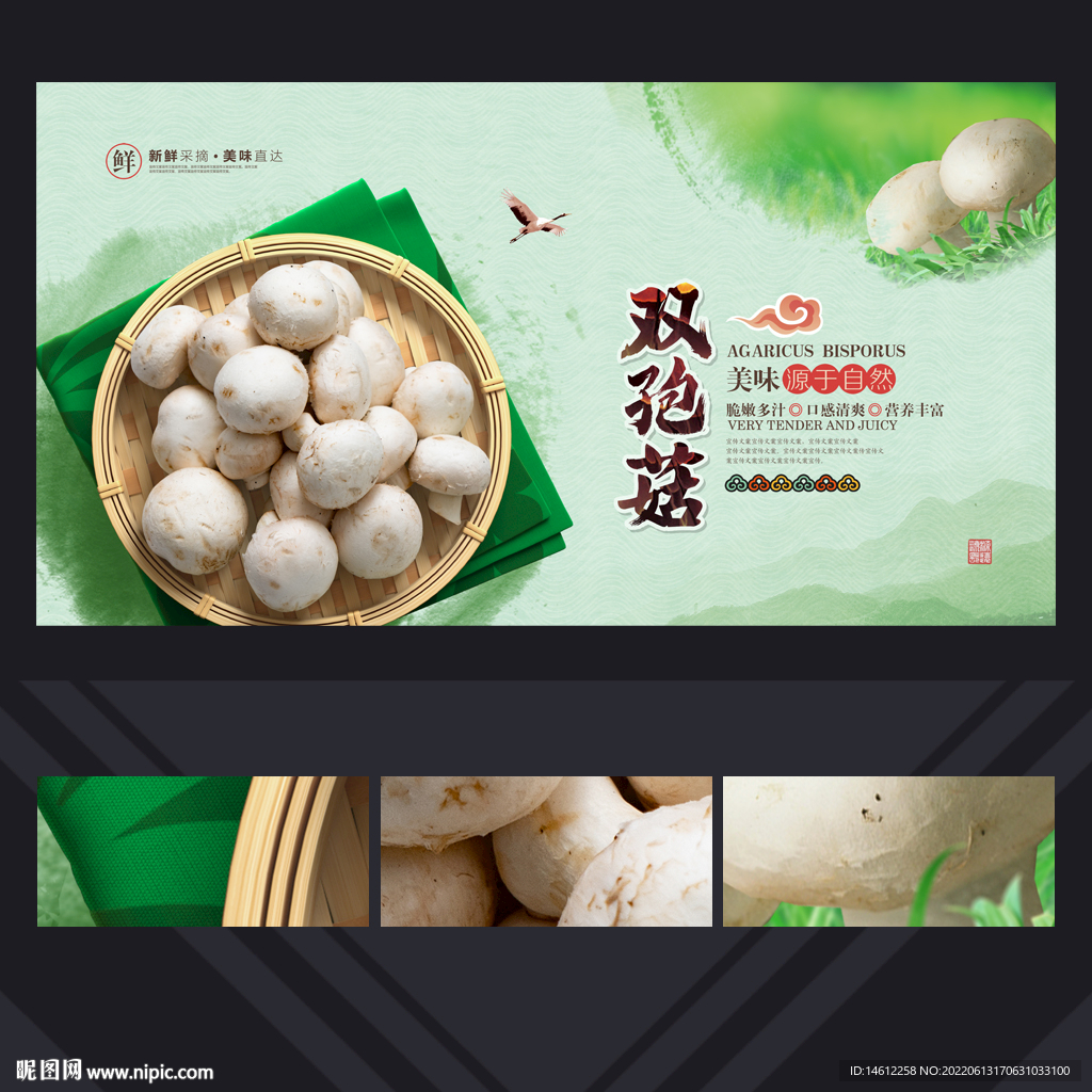 双孢菇
