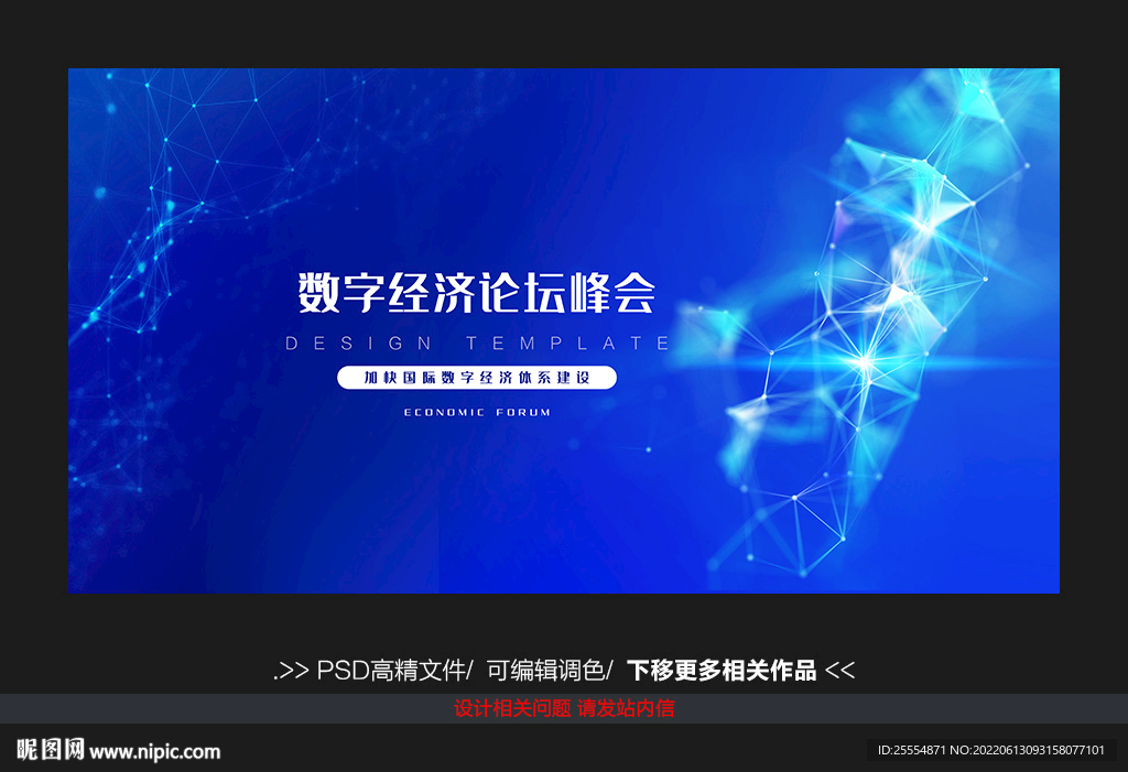 数字经济论坛峰会