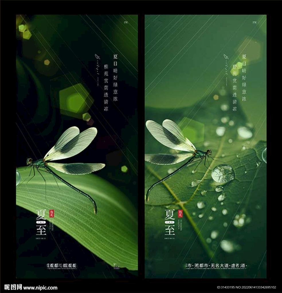 夏至节气海报