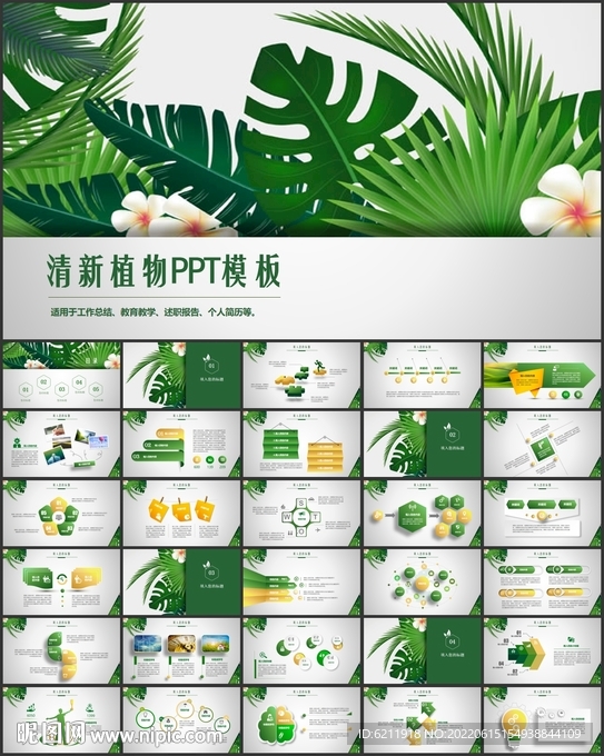 清新养眼绿色植物PPT模板