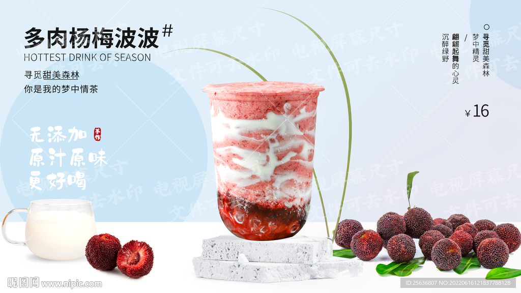 多肉杨梅波波