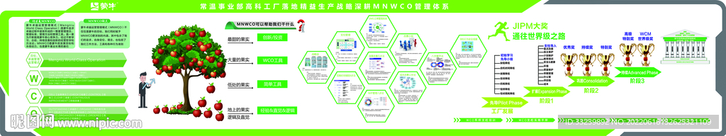 WCO管理体系