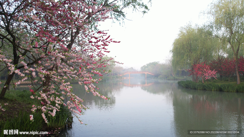 桃花
