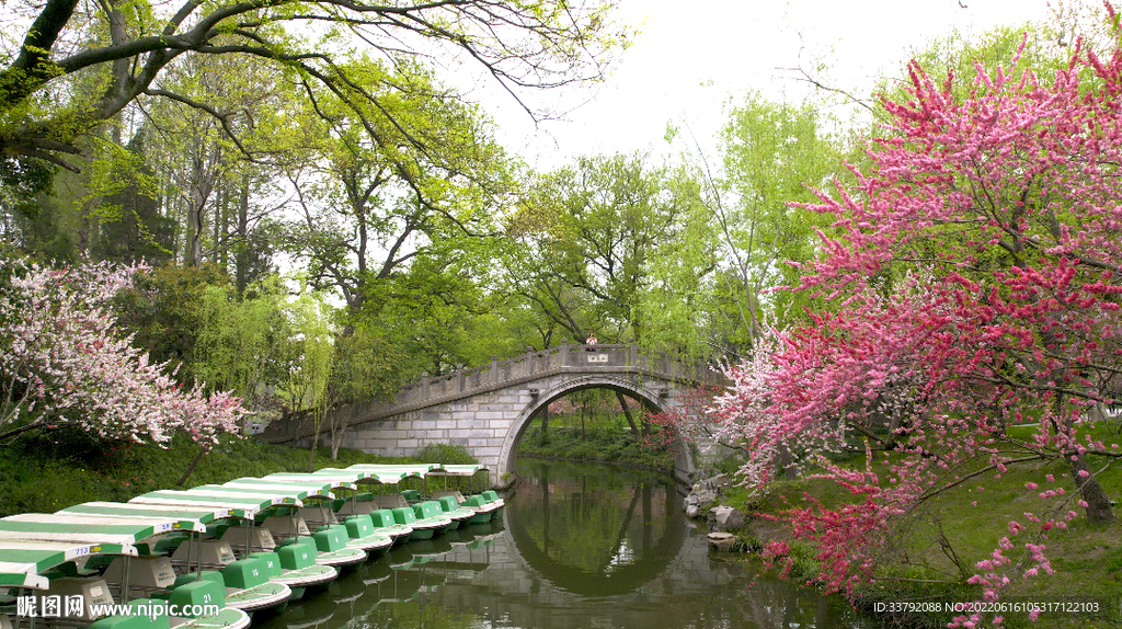 桃花映小桥