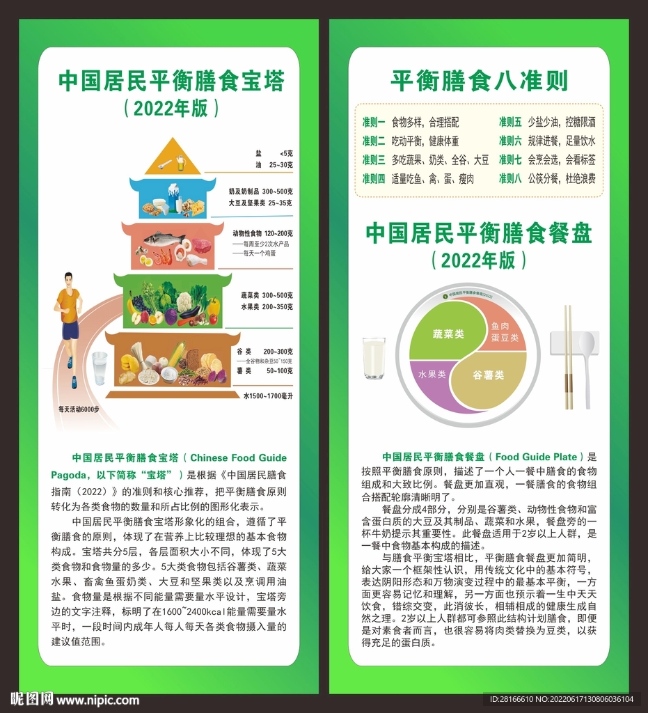 平衡膳食宝塔 餐盘解析展架