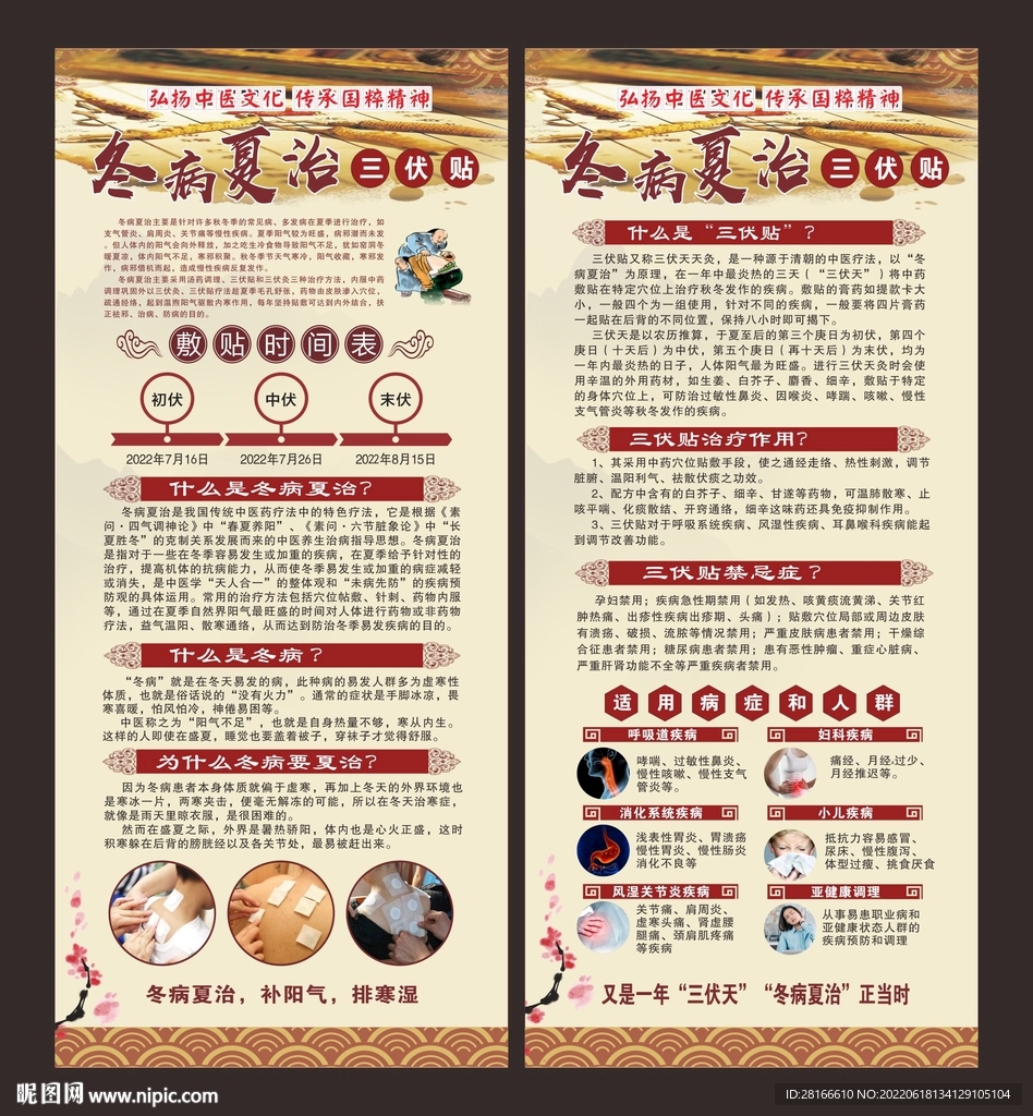 三伏天灸展架