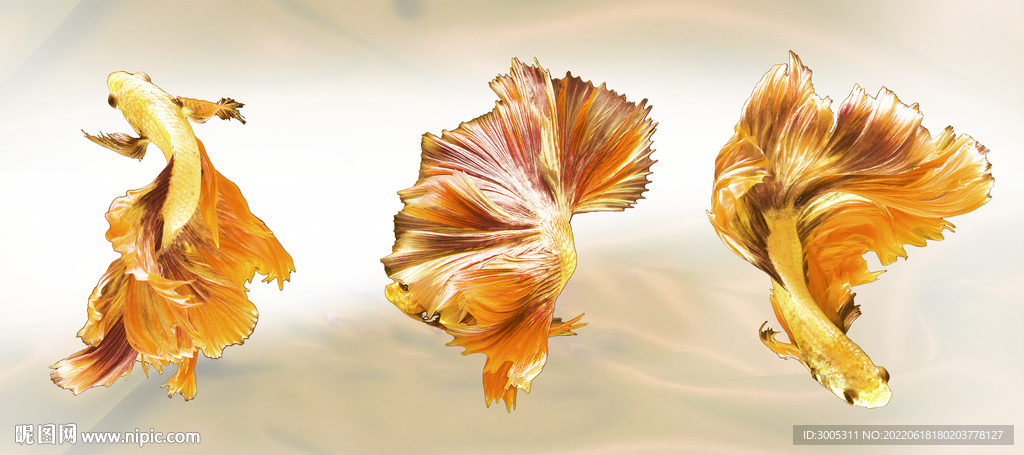 轻奢装饰画 金鱼